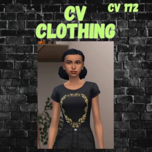 vêtements cv172
