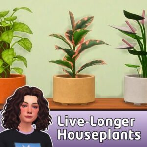 Plantes d'intérieur plus résistantes