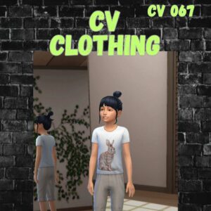 vêtements cv067