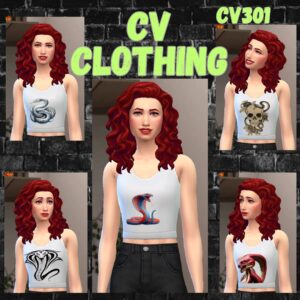 vêtements cv301 compatible avec le jeu de base