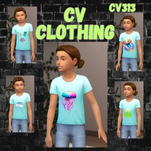 Vêtements cv313 compatible avec le jeu de base