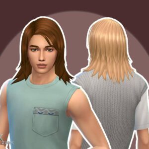 Coiffure d'Adam