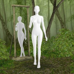 Chambre CAS : Forêt sauvage