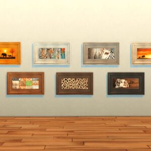 Animaux - peintures.