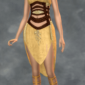 Robe à ceinture métallique - Pour toujours heureux