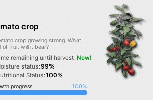 Plante à croissance rapide MH