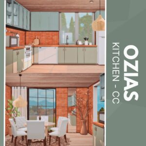 Cuisine d'Ozias - Sans CC