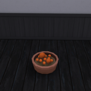 Champignon Porcini Récoltable de King_Zace