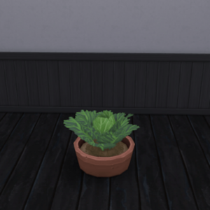 Kale Récoltable de King_Zace