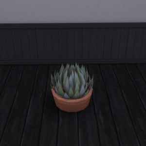 Plante à récolter Agave de King_Zace