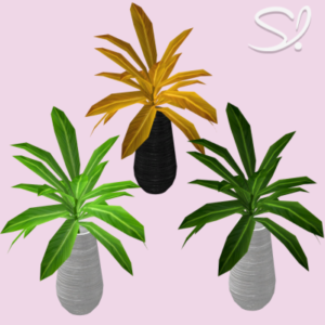 Petite plante moderne