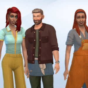 Townie Overhaul - Entreprises & Loisirs