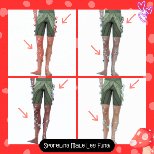[JBTN] Sporeling Mâle Champignon de Jambe