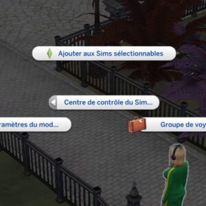 Contrôleur de Sims de DQuiet