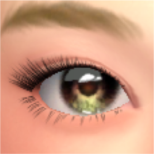 Yeux (Maquillage facial) - A003