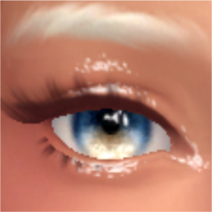 Yeux (Maquillage)_A004