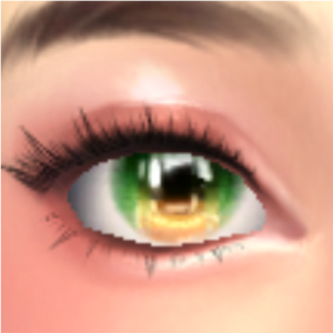 Yeux (Maquillage)_A015