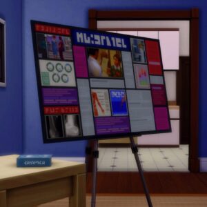 Extensions Universitaires Personnalisées par Zero's sims 4