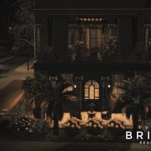 Bricksen