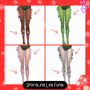 [JBTN] Champignon de jambe Sporeling
