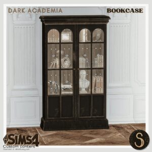 Bibliothèque - Dark Academia