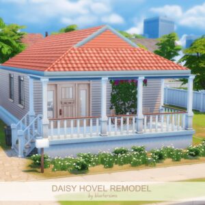Rénovation de la maison des Hovel