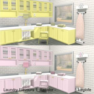 Laundry Flavours_Recolor