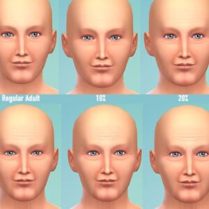Mod Gradual Aging par JaneSimten
Traduction FR par Miyaji