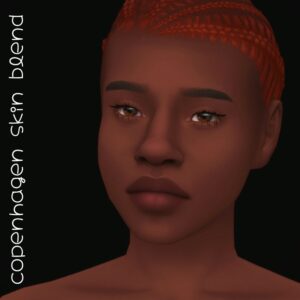 Copenhagen Skin Overlay