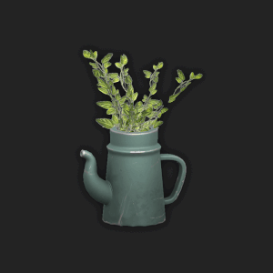 Fermier - Plante