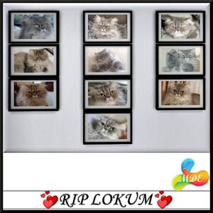 Repose en paix Lokum