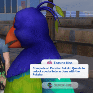 Pukeko et non Plumbird
