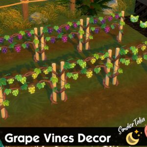 Vignes décoratives