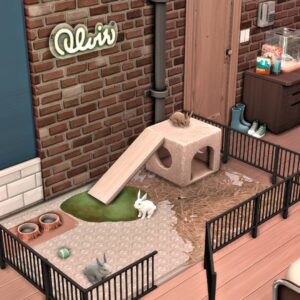 Appartement pour amoureux des animaux