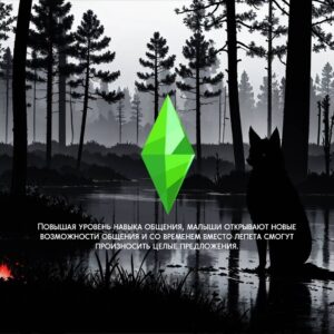 Forêt sombre