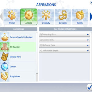 Ambition polyvalente