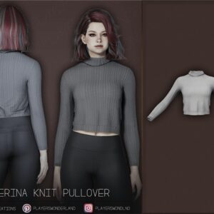 Pullover tricoté Erina