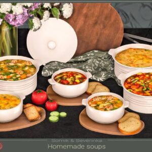 Soupes maison