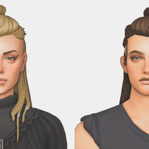 Cheveux d'Eivor