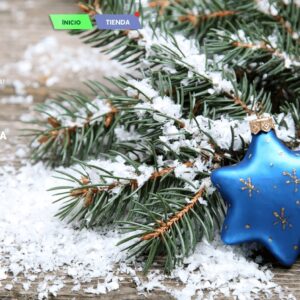 Menu Principal Arrière-plan Joyeux Noël 10
