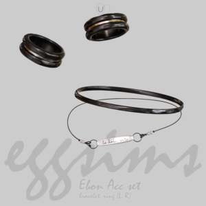 Ensemble Ebon Acc