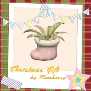 Cadeau de Noël_Plante