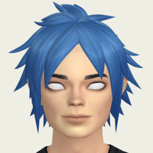Coiffure 2D