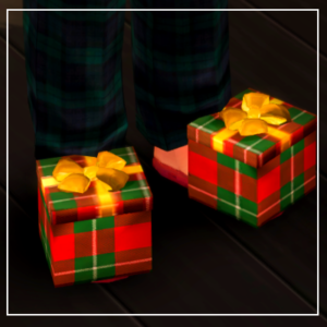 Pantoufles Boîte Cadeau (Cadre Masc)