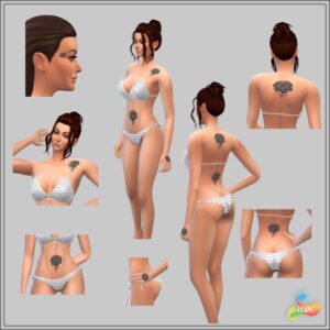 Set de tatouages Carnation
