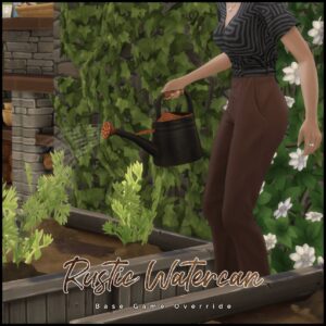 Arrosoir rustique - Remplacement
