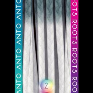 La Collection Chromatique 2 : Extras (Racines)