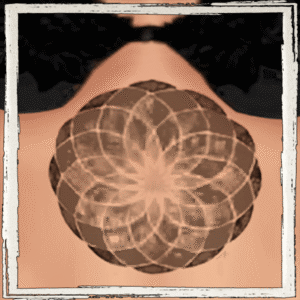⚓ [ESI] #394 (PartieAvantInférieure)