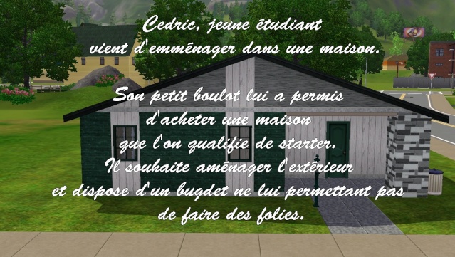 Les jardins Sims 3 partie 1 : Le starter et petits jardins