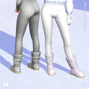 Moonboots Boots